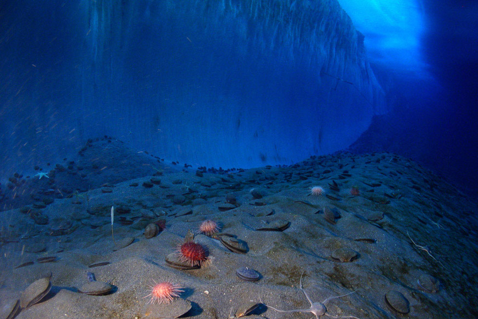 океанское дно, Антарктида, фото