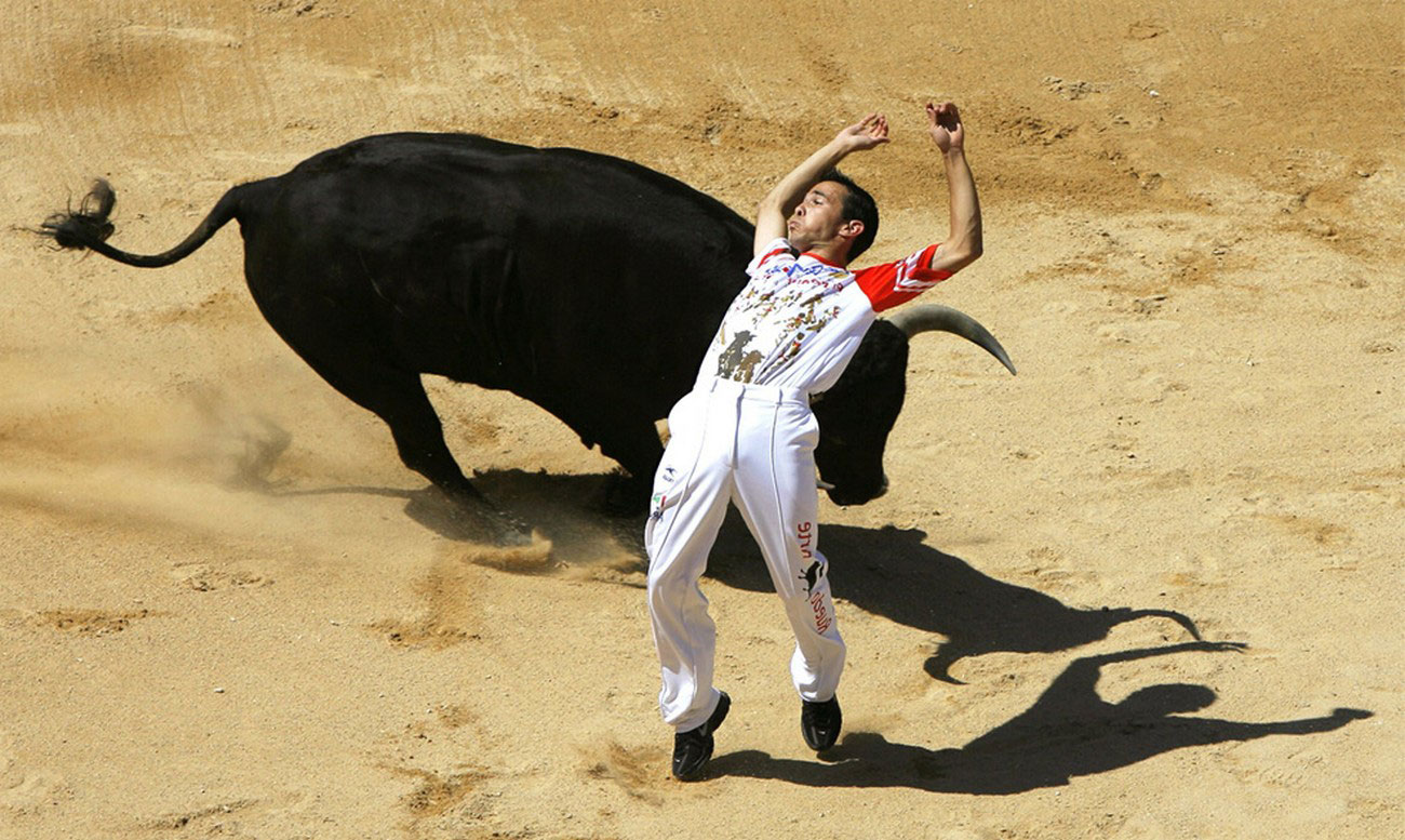 Тореадор выступает с боевым быком