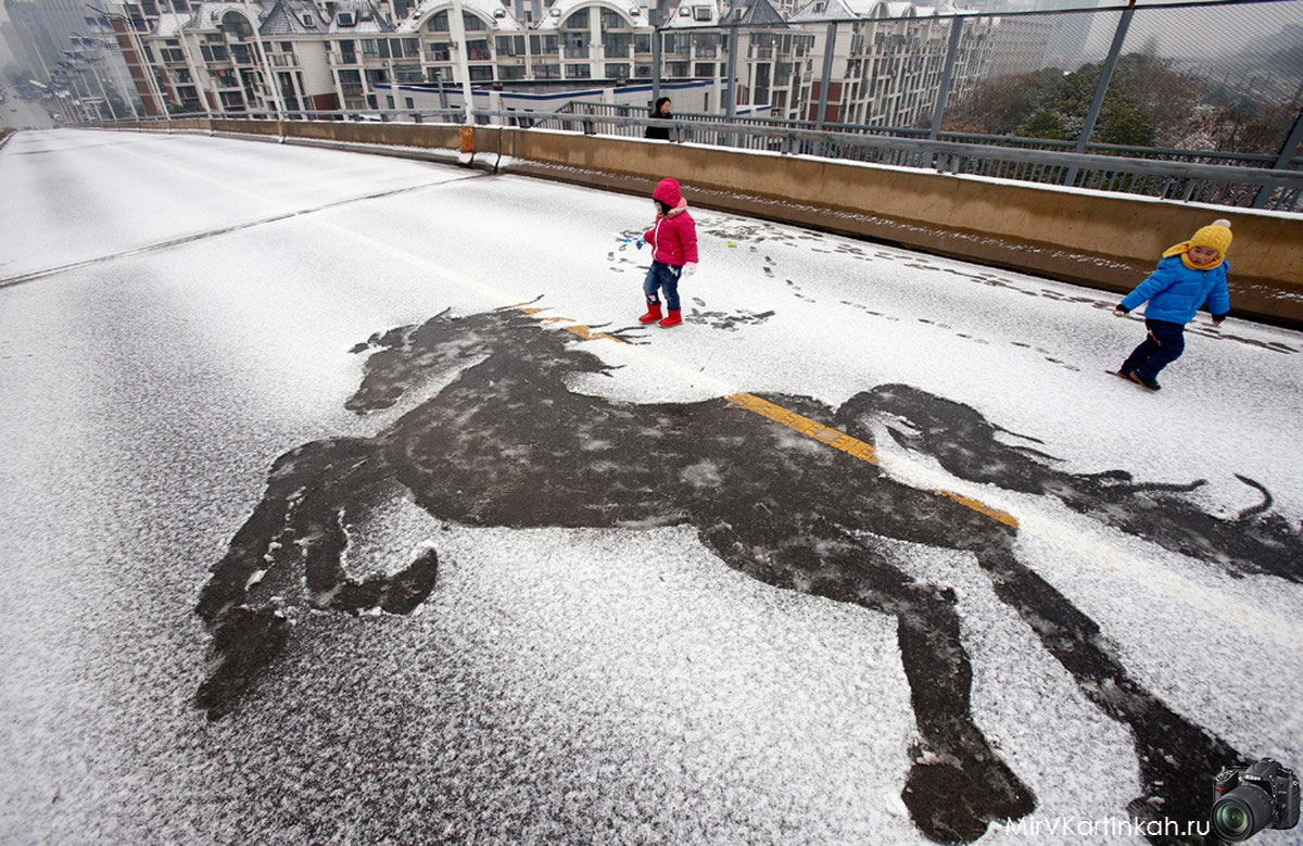 силуэт лошади на снегу