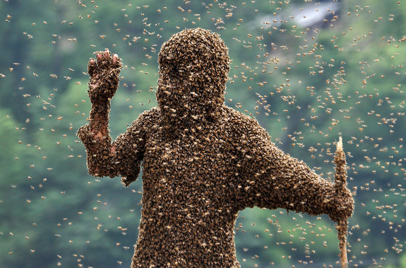 человека облепили пчелы
