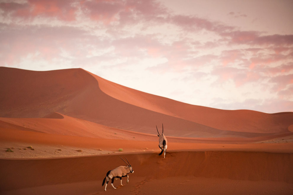 пустыня в Африке, фото
