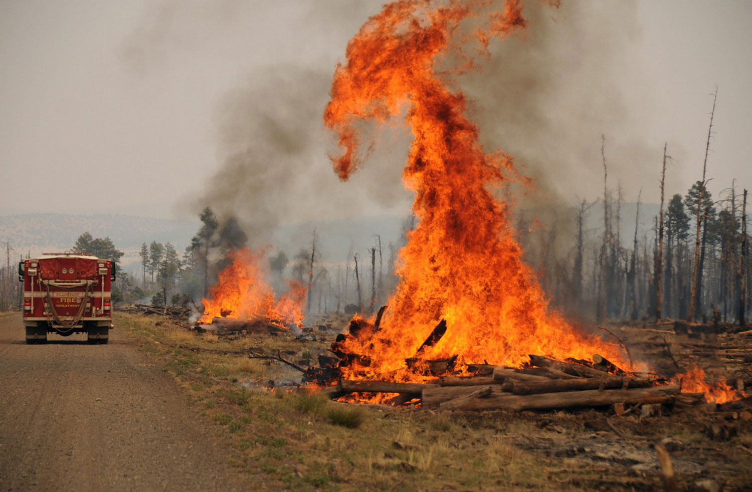 Нью-Мексико, фото лесных пожаров