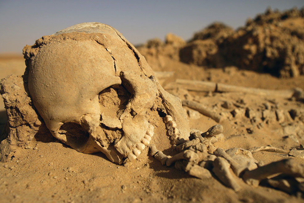 в пустыне Сахара найден скелет, фото