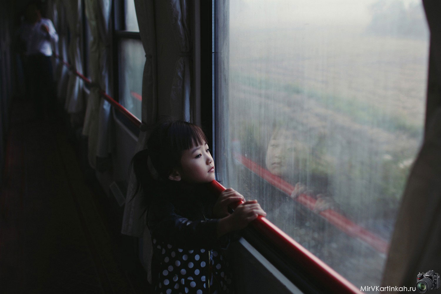 девочка в поезде