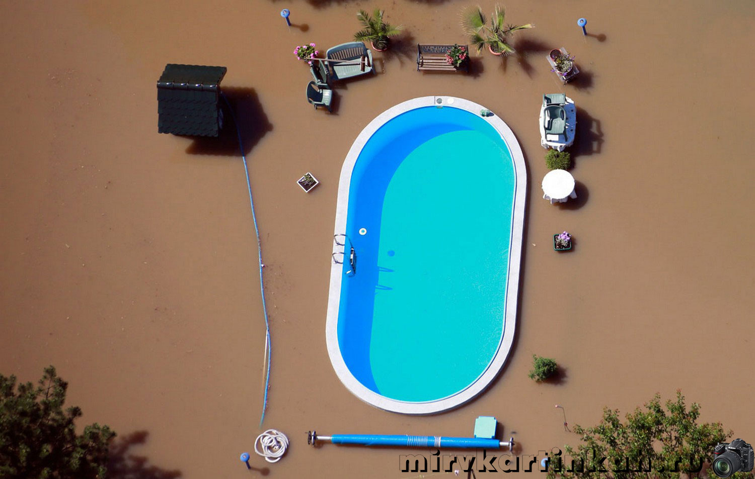 Затопленный сад с бассейном