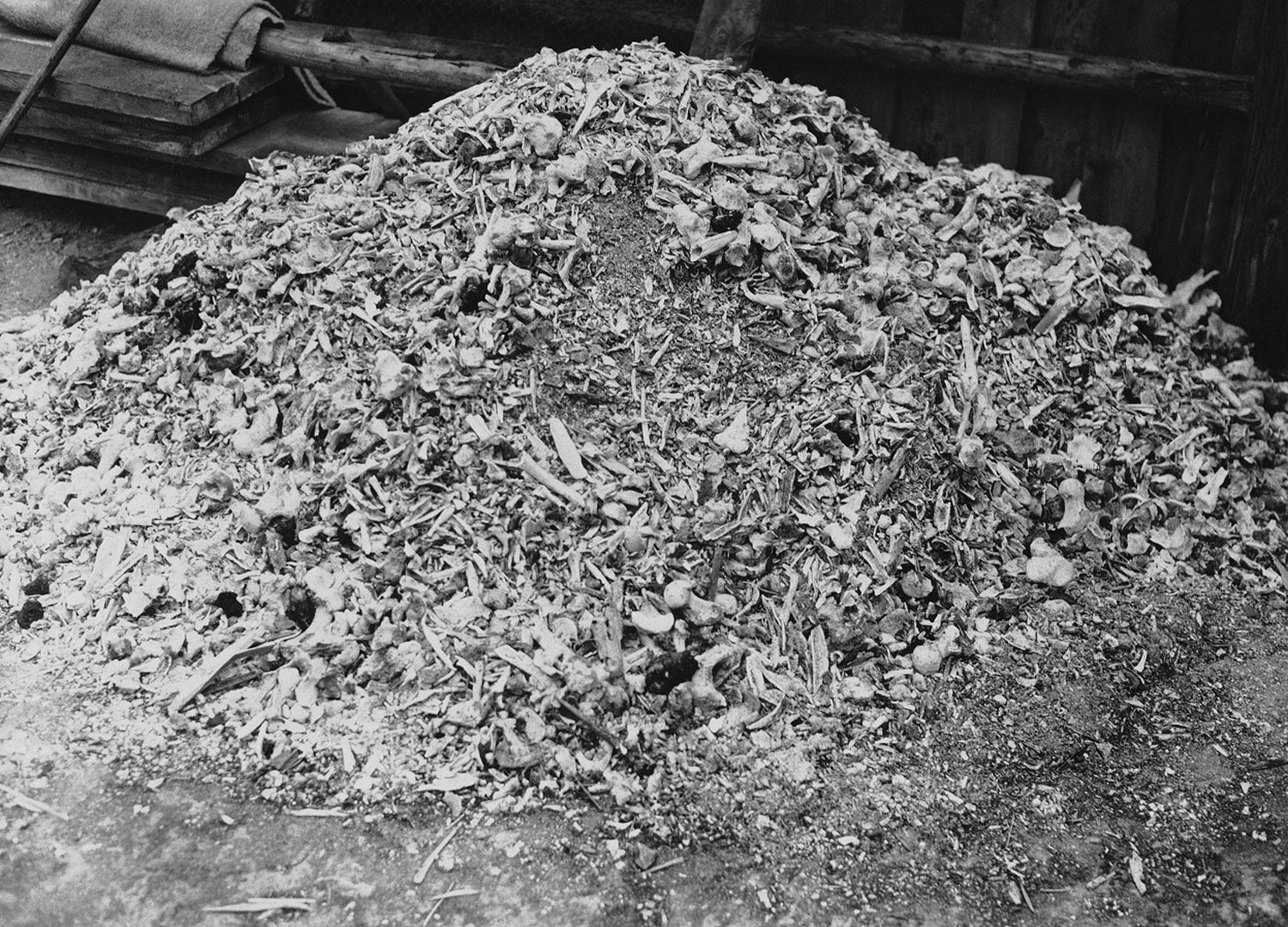 Куча пепла и костей в концлагере Бухенвальд, фото