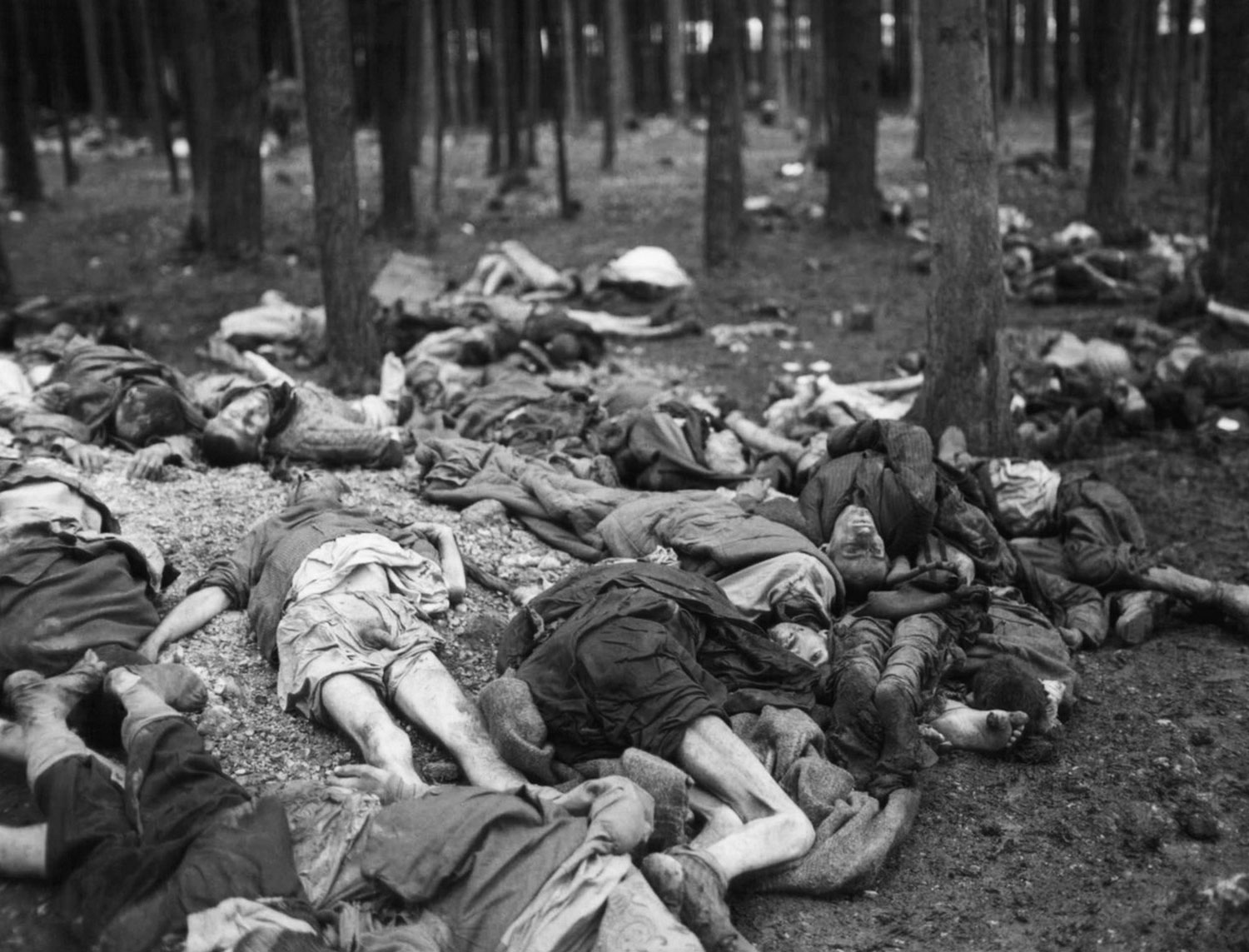 тела жертв нацистских репрессий