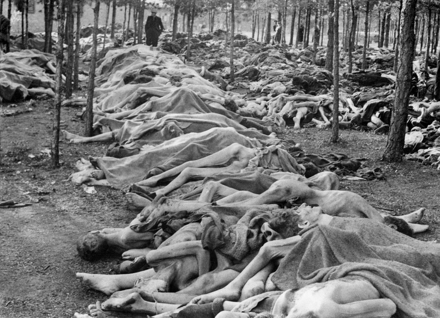 тела изможденных узников лежат на территории концлагеря, фото второй мировой войны