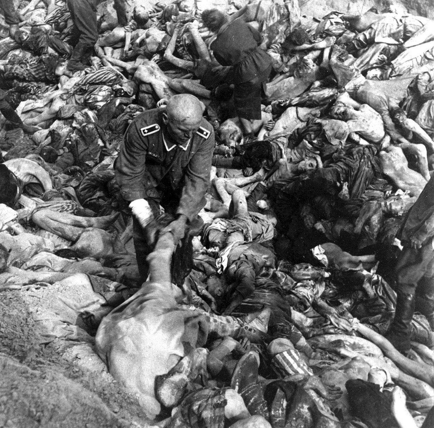 в братской могиле жертв концлагерей в Бельзене, фото